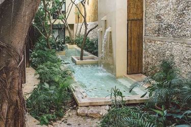 Treehouse Boutique Hotel - Adults Only Merida: Photo 