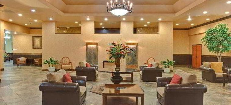 Holiday Inn Hotel & Suites Phoenix-Mesa/chandler:  MESA (AZ)