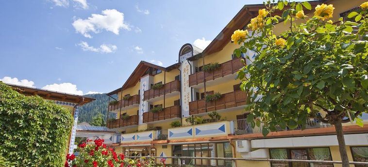 Hotel Val Di Sole:  MEZZANA - TRENTO