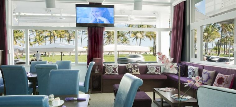 Hotel Penguin:  MIAMI BEACH (FL)