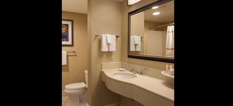 Hotel Courtyard By Marriott Miami Dadeland Miami (Fl): Foto 