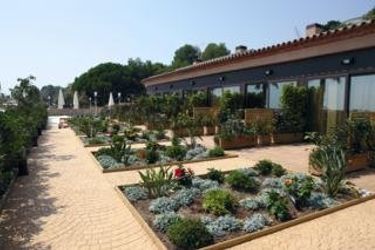 Hotel Pierre &Amp; Vacances Cala Cristal Beach Club Miami Platja - Tarragona: Photo 