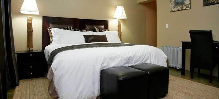 Tuareg Guest House Midrand: Photo 