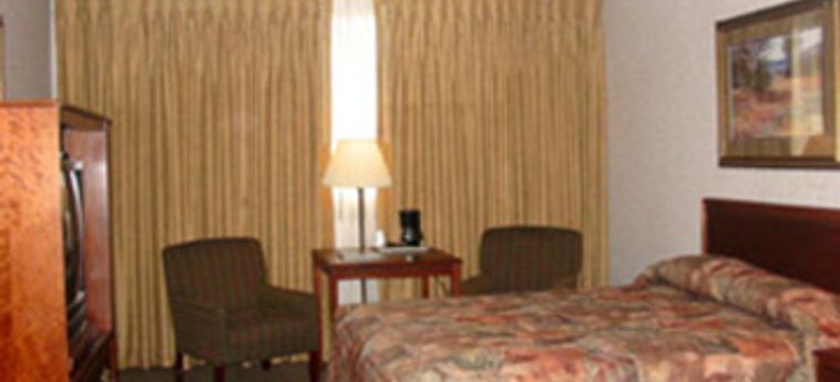 Hotel Best Western Kelly Inn:  MINNEAPOLIS-ST PAUL (MN)