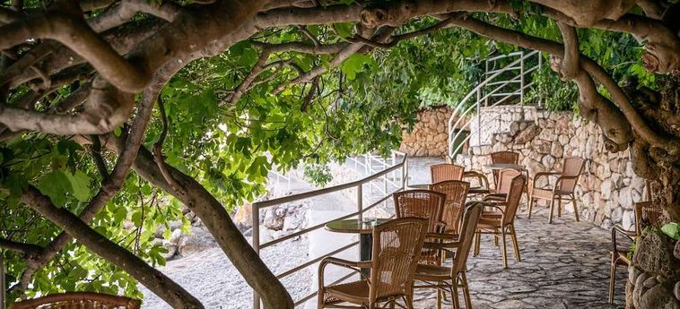Hotel Villas Plat Mlini - Dalmacia: Foto 
