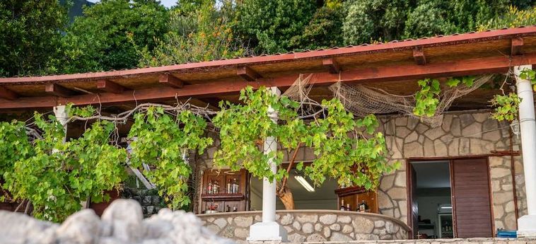 Hotel Villas Plat Mlini - Dalmacia: Foto 
