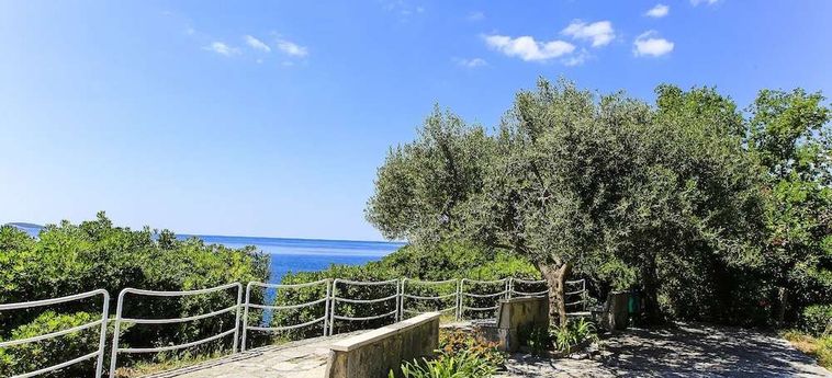 Hotel Villas Plat Mlini - Dalmacia: Foto 