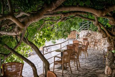 Hotel Villas Plat Mlini - Dalmatia: Photo 