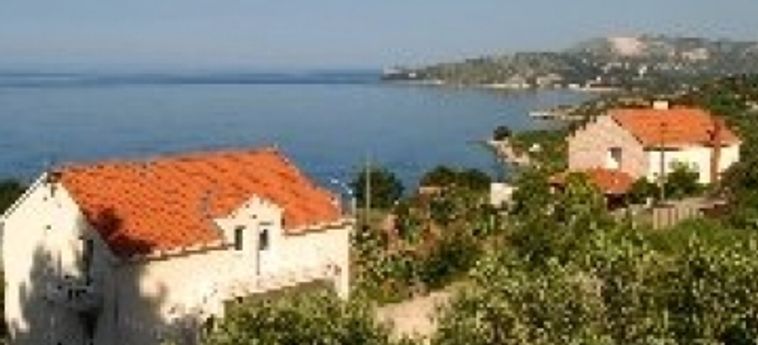 Hotel Villa Samba:  MLINI - DALMATIE