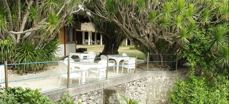 Hotel Quo Vadis Dive Resort Moalboal:  MOALBOAL