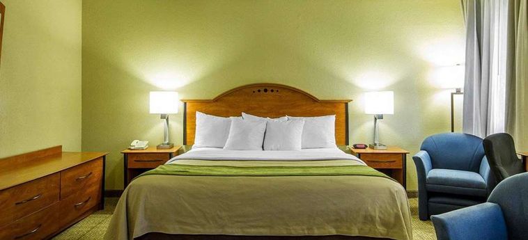 Hotel Comfort Inn:  MODESTO (CA)
