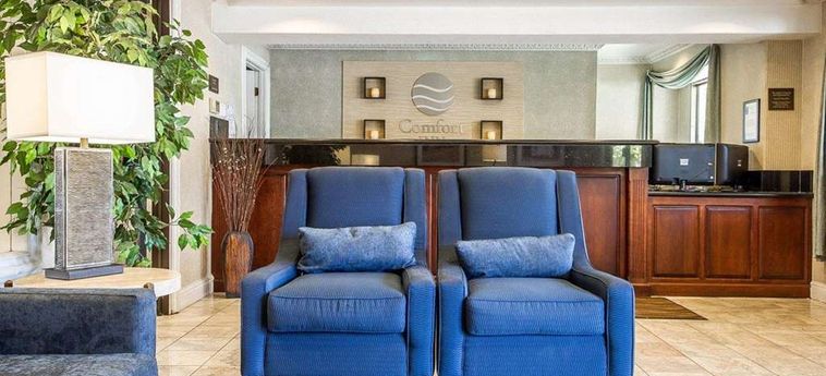 Hotel Comfort Inn:  MODESTO (CA)