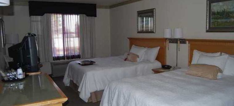 Hotel Hampton Inn And Suite-Salida:  MODESTO (CA)