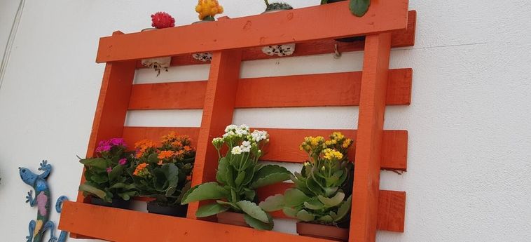 Hotel Hostal El Palmeral Mojacar: Foto 