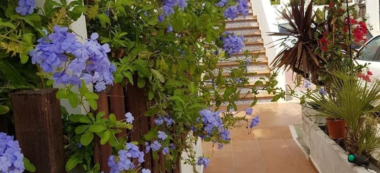 Hotel Hostal El Palmeral Mojacar: Foto 