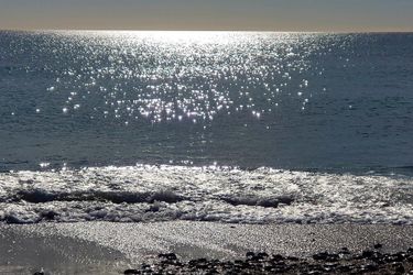 Hotel Hostal El Palmeral Mojacar: Photo 