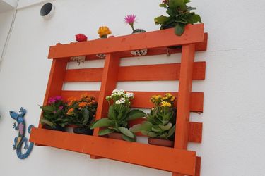 Hotel Hostal El Palmeral Mojacar: Photo 