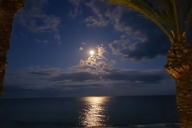 Hotel Hostal El Palmeral Mojacar: Photo 
