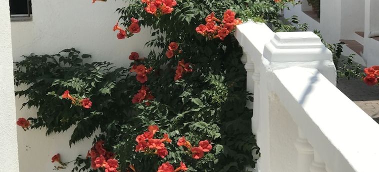 Hotel Mamabels Mojacar: Foto 