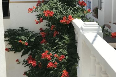 Hotel Mamabels:  MOJACAR