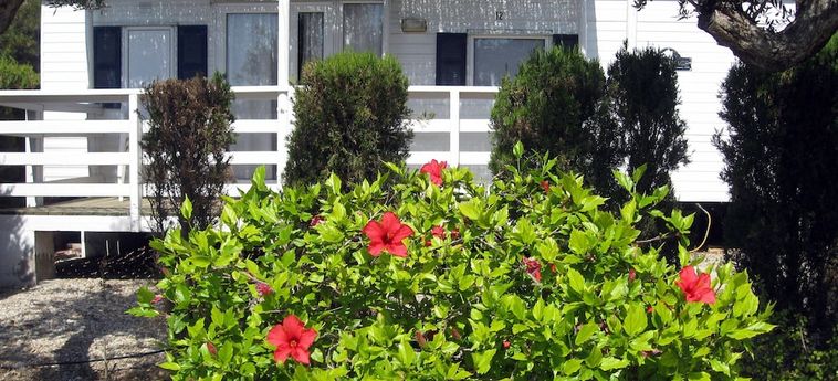 Hotel Camping &Amp; Bungalow Cueva Negra Mojacar: Foto 