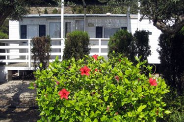 Hotel Camping &Amp; Bungalow Cueva Negra Mojacar: Photo 