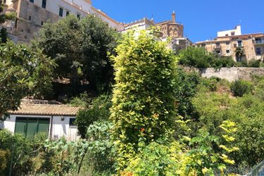Hotel Antico Limoneto Conca D'oro Monreale - Palermo: Photo 