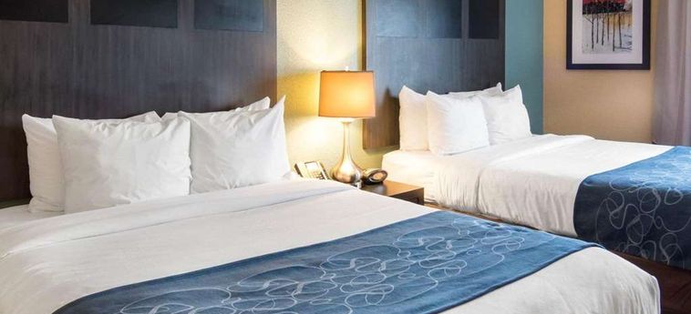 Hotel Comfort Suites Monroe Monroe (La): Foto 