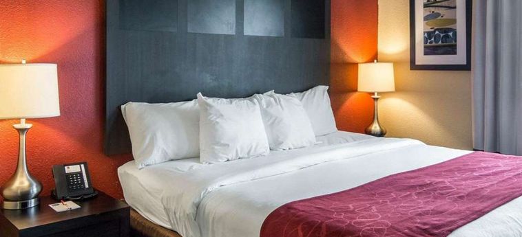 Hotel Comfort Suites Monroe Monroe (La): Photo 