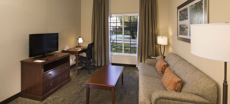 Hotel Staybridge Suites San Pedro:  MONTERREY