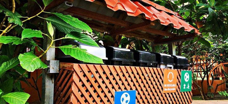 Hotel Cabañas Monteverde Villa Lodge Monteverde - Puntarenas : Photo 
