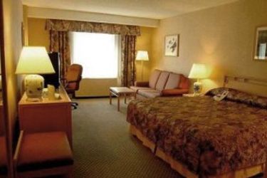 Hotel Holiday Inn Montreal Centreville Downtown:  MONTREAL