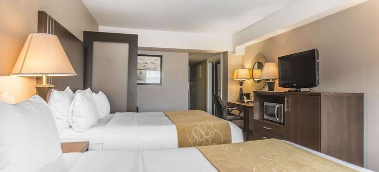Hotel Comfort Suites Downtown Montreal: Foto 