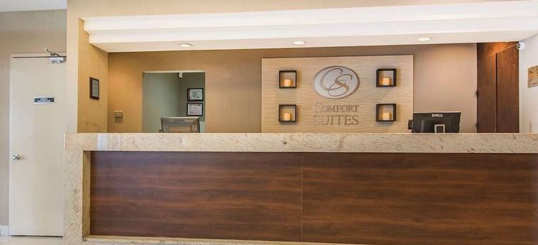 Hotel Comfort Suites Downtown Montreal : Photo 
