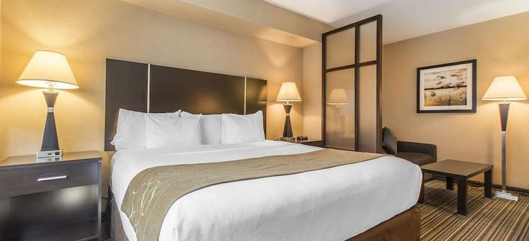 Hotel Comfort Suites Downtown Montreal : Photo 