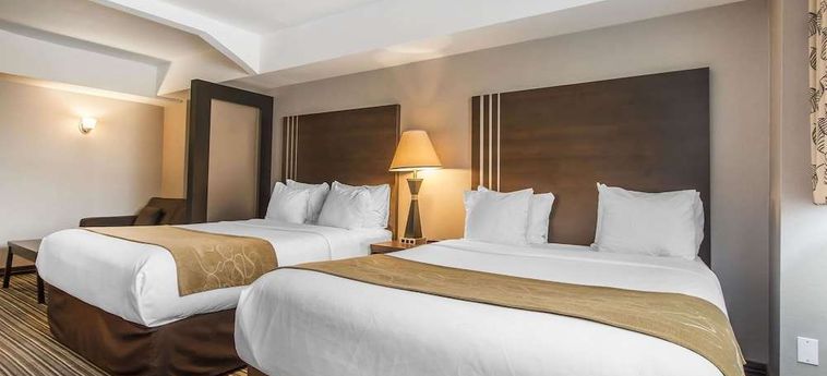 Hotel Comfort Suites Downtown Montreal : Photo 