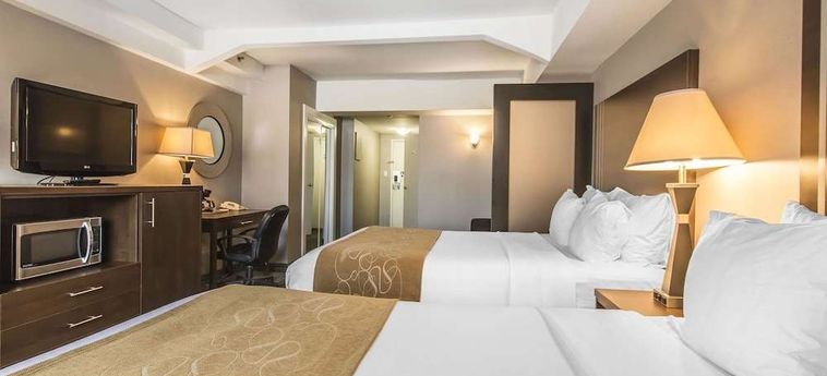 Hotel Comfort Suites Downtown Montreal : Photo 