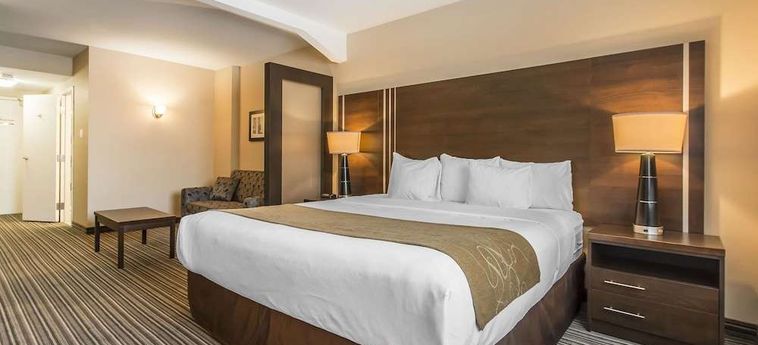 Hotel Comfort Suites Downtown Montreal : Photo 