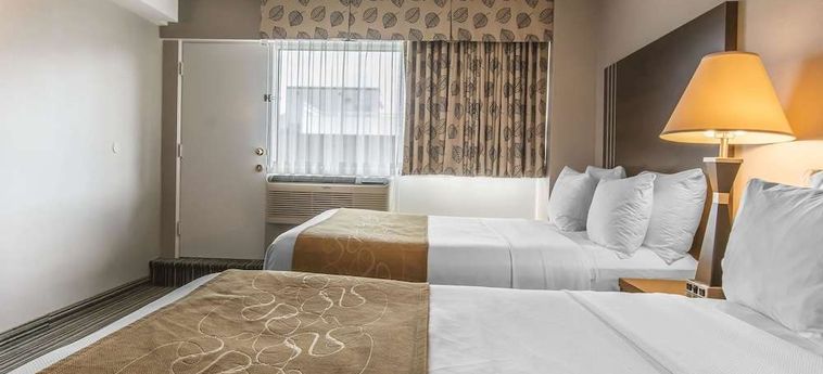 Hotel Comfort Suites Downtown Montreal: Foto 