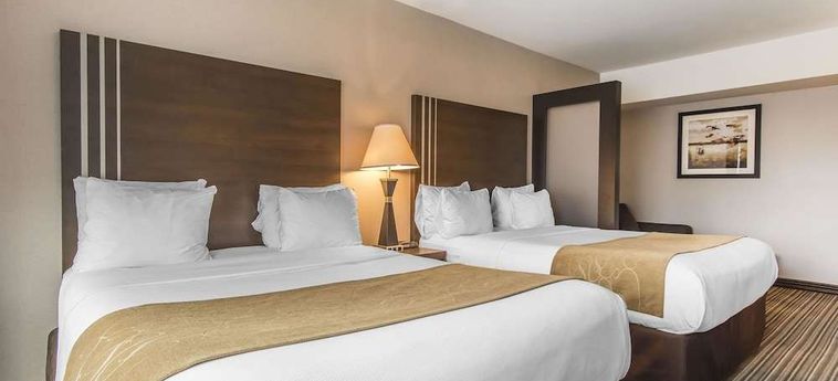 Hotel Comfort Suites Downtown Montreal: Foto 