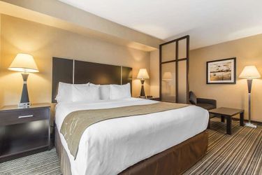 Hotel Comfort Suites Downtown Montreal: Photo 