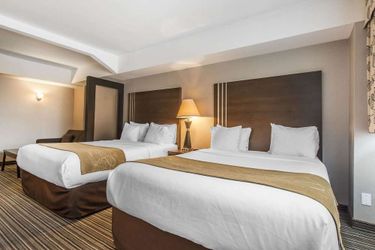 Hotel Comfort Suites Downtown Montreal: Photo 