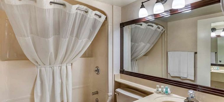 Hotel Hampton Inn By Hilton Montreal East Anjou Montreal: Photo 