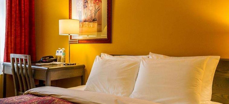 Hotel Auberge De La Fontaine Montreal: Foto 