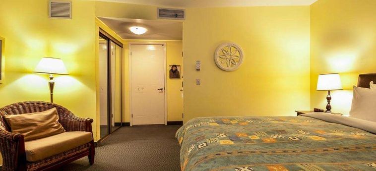 Hotel Auberge De La Fontaine Montreal : Photo 