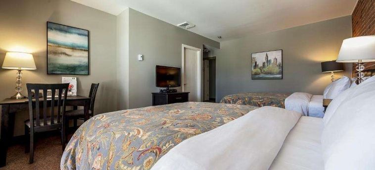 Hotel Auberge De La Fontaine Montreal: Foto 