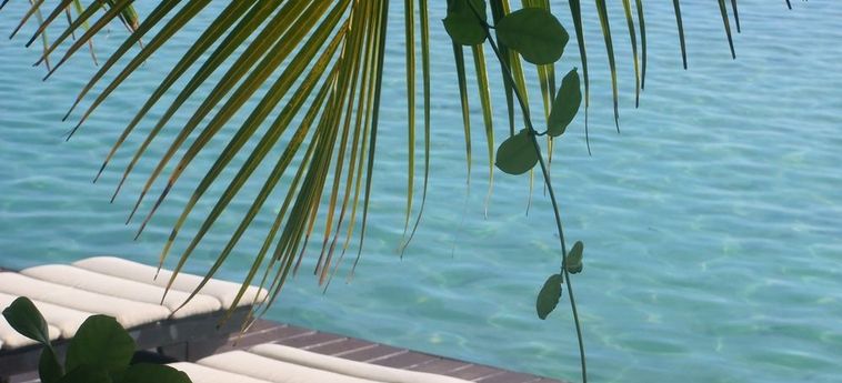 Hotel Fenua Mata'i'oa Moorea: Foto 