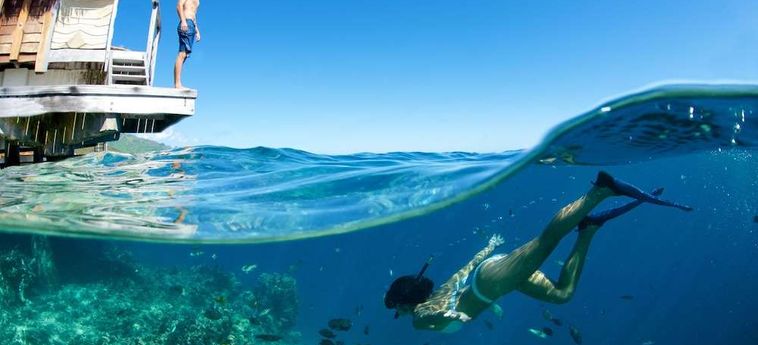 Hotel Manava Beach Resort And Spa Moorea Moorea: Foto 