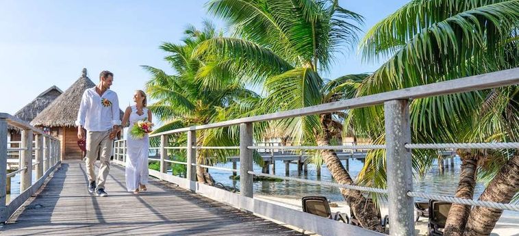 Hotel Manava Beach Resort And Spa Moorea Moorea: Foto 