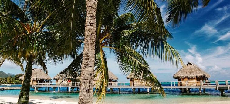 Hotel Manava Beach Resort And Spa Moorea Moorea: Foto 